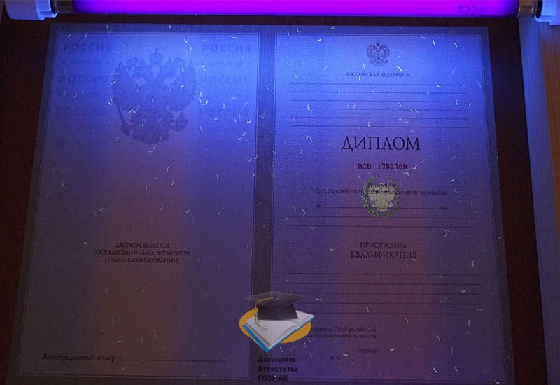 Диплом о высшем образовании 2003-2009 годов - Фото 7 Диплом о высшем образовании 2003-2009 годов - Фото 7