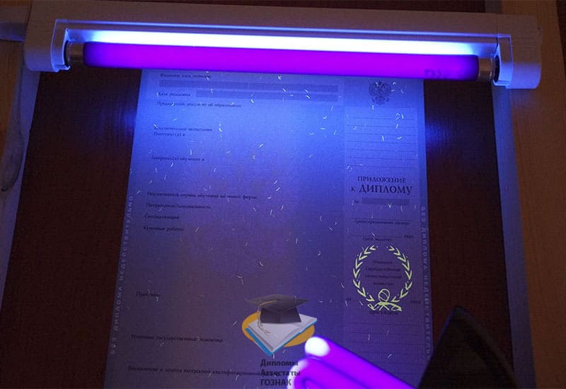 Диплом о высшем образовании 2012-2013 годов - Фото 9 Диплом о высшем образовании 2012-2013 годов - Фото 9