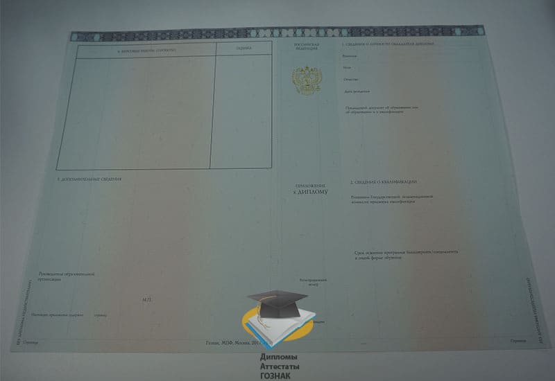 Диплом о высшем образовании ООО Знак 2014-2025 годов - Фото 6 Диплом о высшем образовании ООО Знак 2014-2025 годов - Фото 6