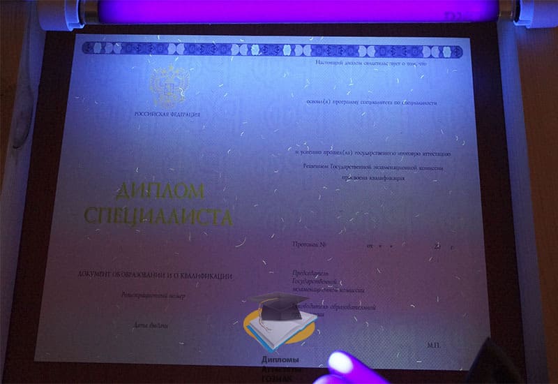 Диплом о высшем образовании 2014-2025 годов - Фото 9 Диплом о высшем образовании 2014-2025 годов - Фото 9
